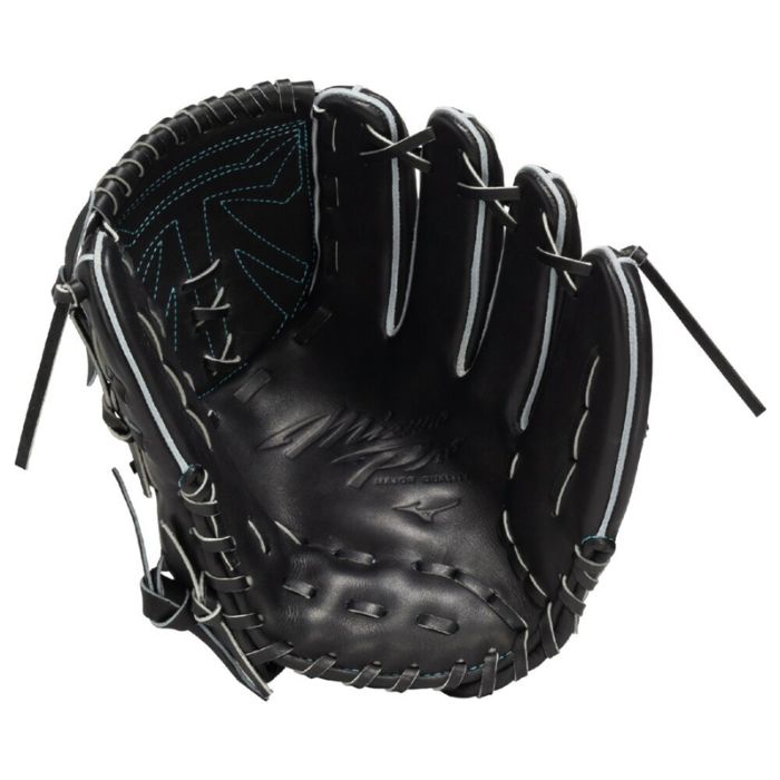 Mizuno ミズノ 野球グローブ グラブ 硬式用 ミズノプロ 25年ブランド