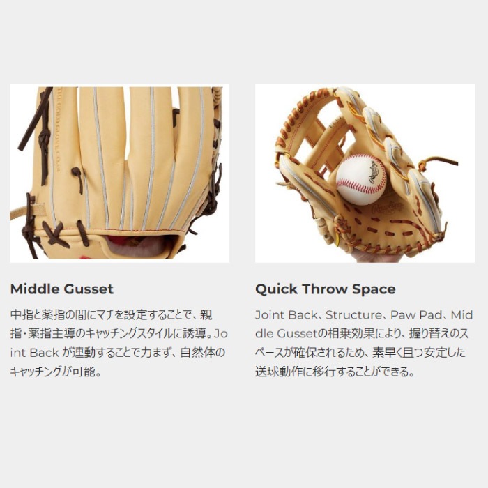 Rawlings ローリングス 一般 硬式用 PRO PREFERRED WIZARD #01 プロ