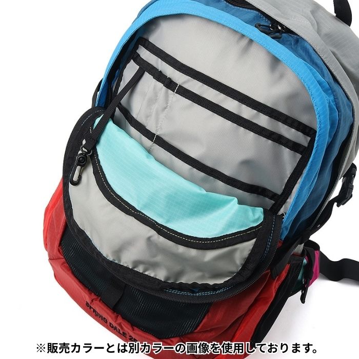 CHUMS チャムス SPRING DALE 25 スプリングデール25 デイパック