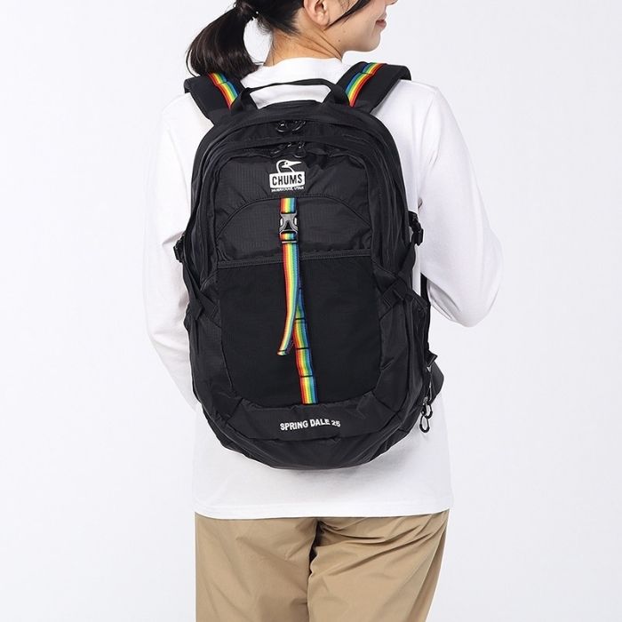 CHUMS チャムス SPRING DALE 25 スプリングデール25 デイパック