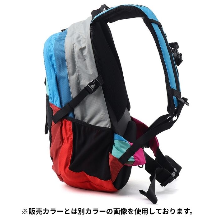 CHUMS チャムス SPRING DALE 25 スプリングデール25 デイパック 