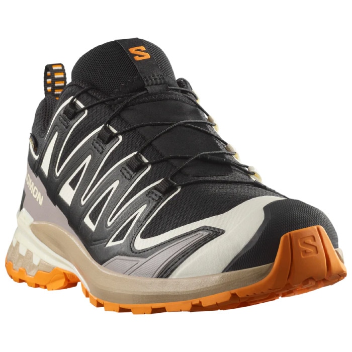 SALOMON サロモン トレイルランニングシューズ XA PRO 3D V9 GORE-TEX