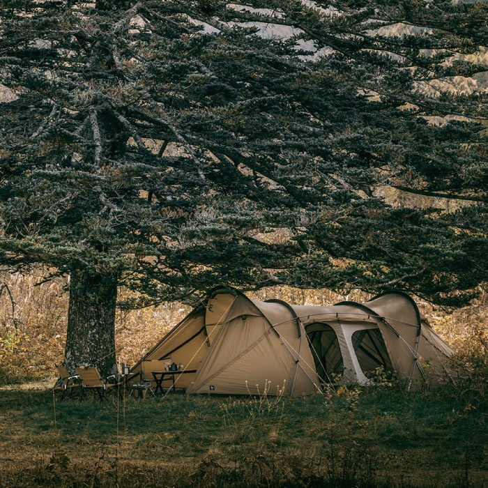 ZANE ARTS ゼインアーツ ROGA ロガ ミドルサイズツールームテント 2-3