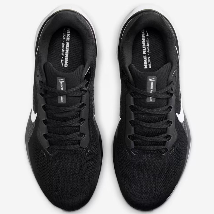 NIKE ナイキ ランニングシューズ ペガサス 41 メンズ エクストラワイド