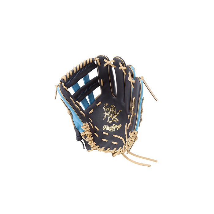 Rawlings ローリングス グローブ ソフトボール用 HOH DP COLORS オール
