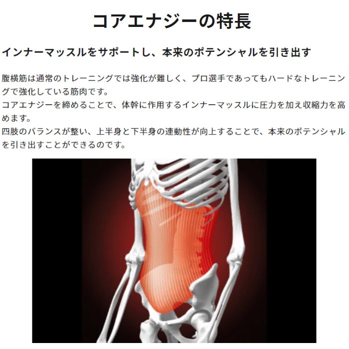 CoreEnergy コアエナジー コアエナジー3 野球 ベルト サポーター
