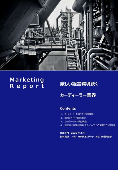 厳しい経営環境続くカーディーラー業界 2025年3月 TSR-3351