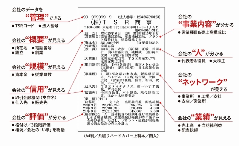 �쾦����Ͽ���彣��