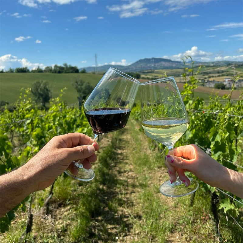 TS CUBIC SHOPPING限定セット】＜数量限定＞サン・ヴァレンティ―ノ