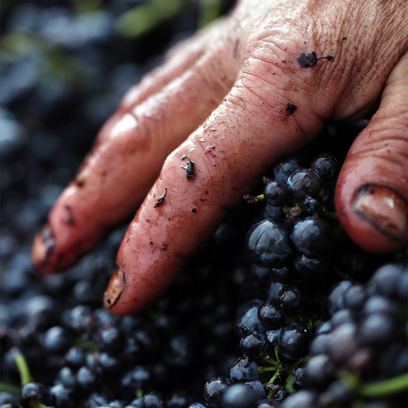 ジョシュ GREEN MESSAGE WIDE FITS TEE | Tshirts/CUTSEW | JUZU store