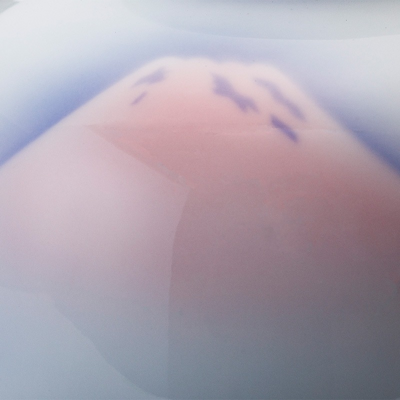 赤富士 8号花生