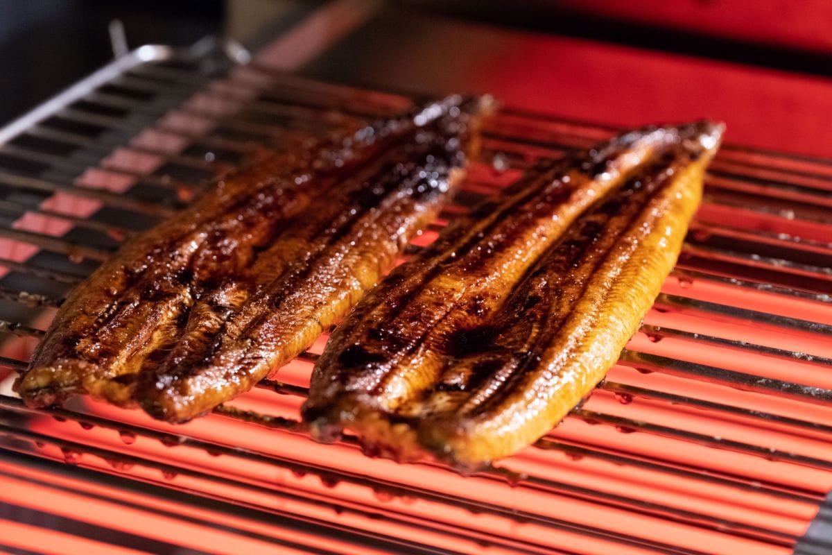 国産特選うなぎ蒲焼きざみ 10食セット】◎会員限定価格 更に『特選