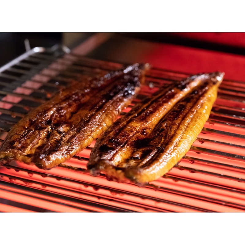 国産特選うなぎ蒲焼きざみ 5食セット】◎会員限定価格 更に『特選