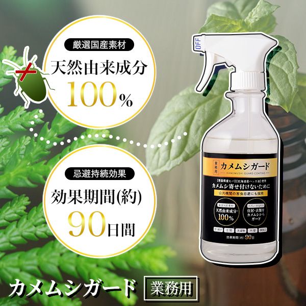 【カメムシ／発送方法修正】テレビ hqdefault.jpg