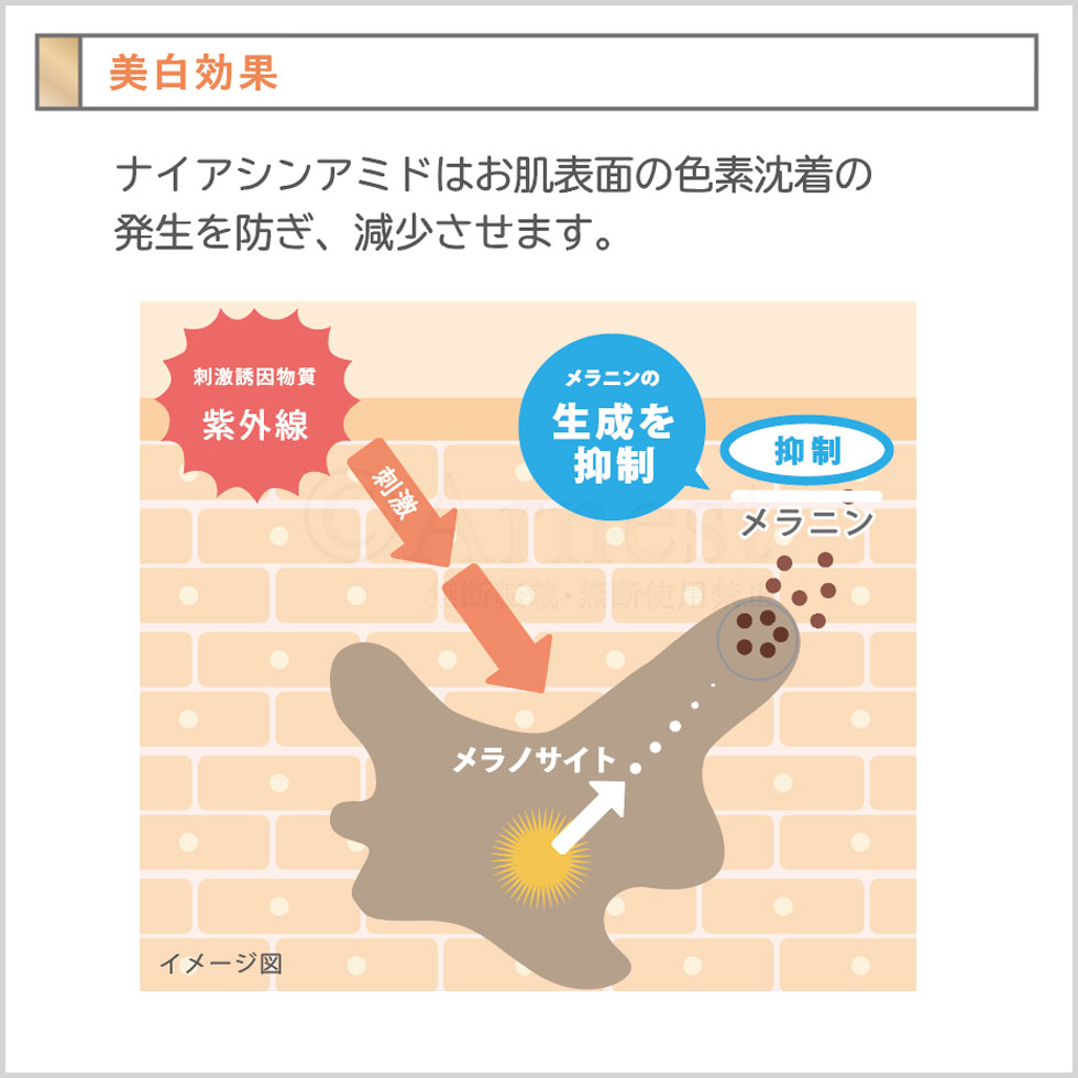 ��󥯥륢���ԡ������� ���򡦥���������륯�꡼��