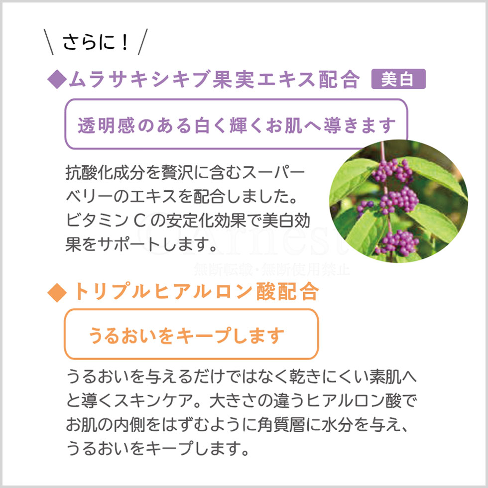 ��󥯥륢���ԡ������� ���򡦥���������륯�꡼��