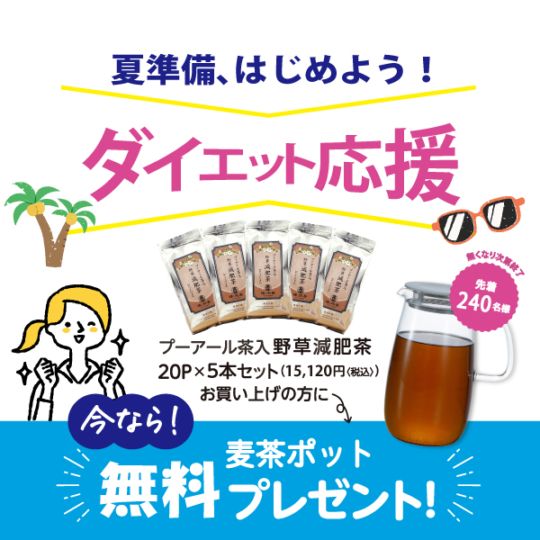 爽*茶様 ぼにぼにセット セットでおトク】プーアール茶入野草減肥茶5本セット+【麦茶ポット