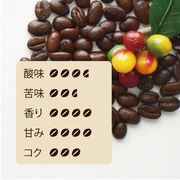 �˥��饰�� ����Х˥� �ʥ������200���