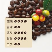 �ѥʥޡ��ϡ��ȥޥ������200���