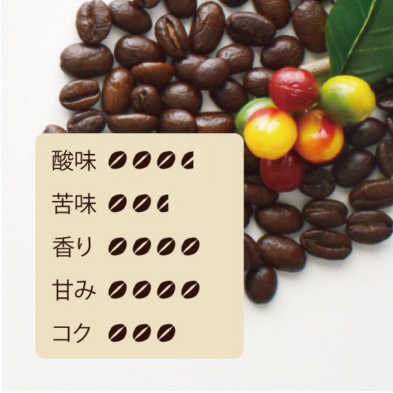 �˥��饰�� ����Х˥� �ʥ������200���