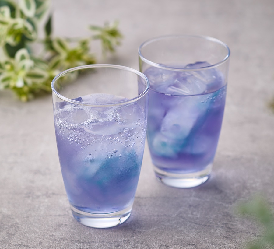 �ץ�ߥ��ॸ�㥹�ߥ�ƥ����Х��ե饤�ԡ��֥��ɥƥ����Хå�