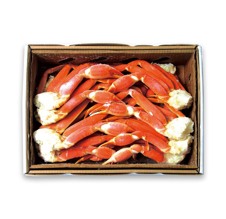 ��2025����������ʡ�����ܥ��뤺�襤���˸�����14����