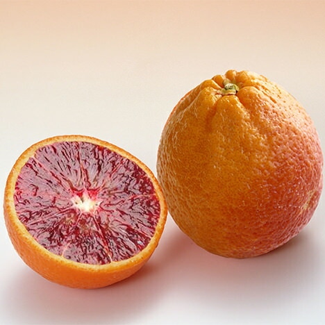 ブラッドオレンジ 『 タロッコ 』 13.5cmポット接木苗 【 珍種 】 | 五