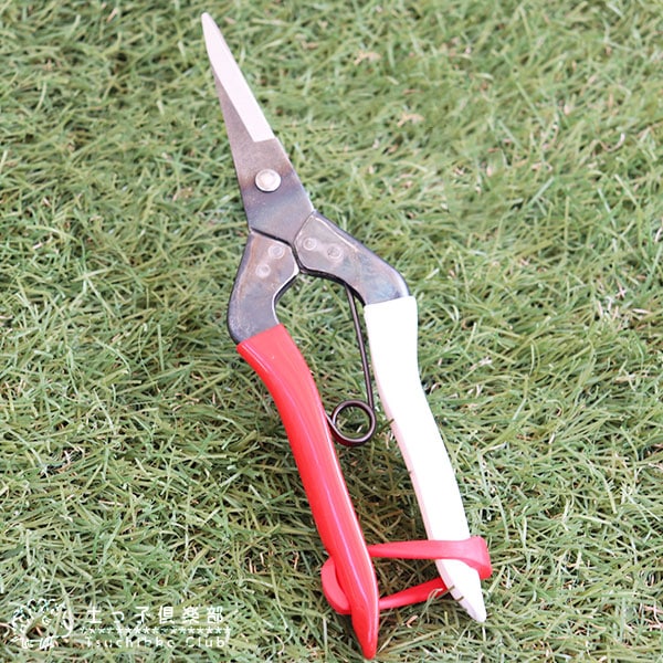 Yuki 岡恒　芽切鋏　No.304 6丁 Amazon | 岡恒(Okatsune) 芽切鋏 箱入り NO.304 | 高枝切りばさみ