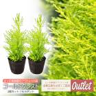 公式】土っ子倶楽部オンラインショップ