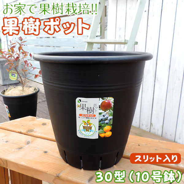 フルーツ鉢 植木鉢 『 果樹ポット 』 10号鉢 （ 30型 ・ 黒 ・ スリット入り