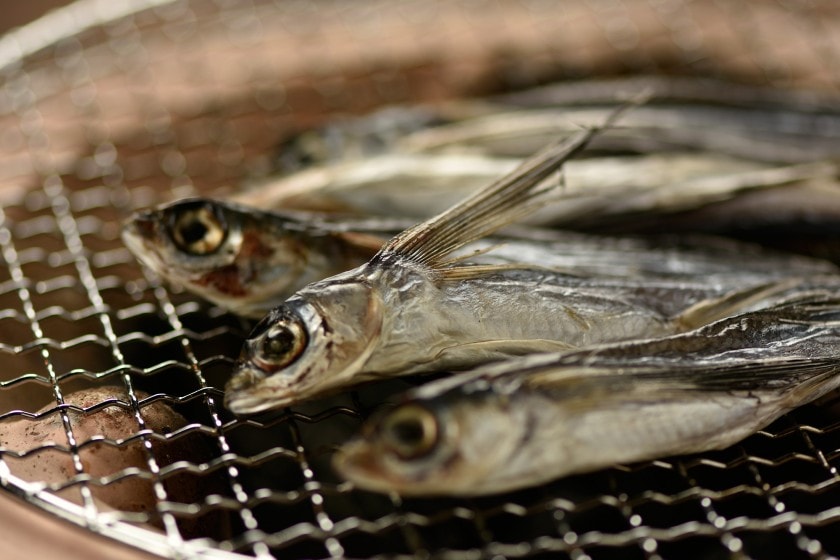 長崎俵物 あご丸干し 160g 魚種で選ぶ あご 津田水産オンラインショップ