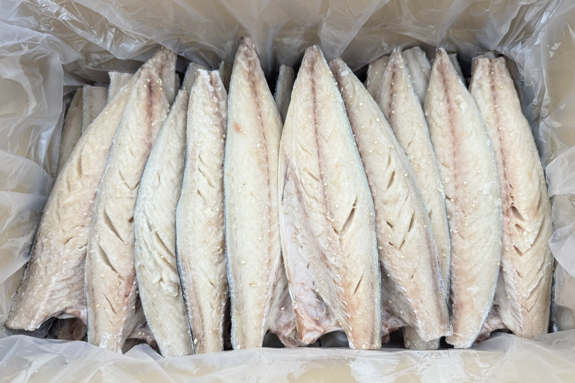 �磻��Ź��ߤ��� LL��25�����ˡڶ�̳���֡�