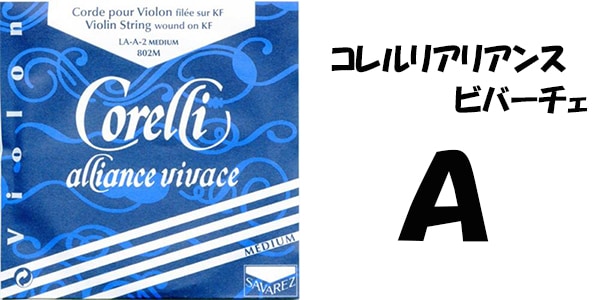 �����ꥢ�ꥢ�󥹥ӥС�������