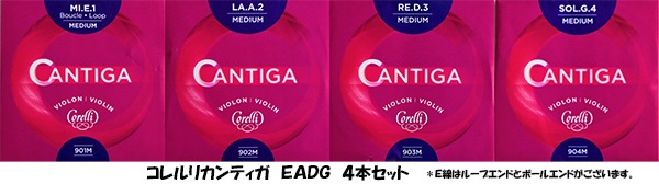 �����ꥫ��ƥ���E���ģǣ��ܥ��å�