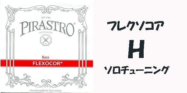 フレクソコア ソロチューニングH | 弦,コントラバス,ピラストロ