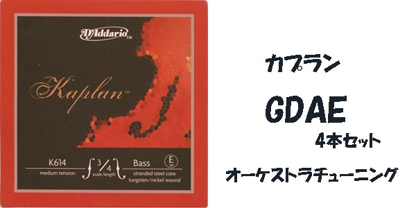 カプラン GDAE 4本セット オーケストラチューニング | 弦,コントラ