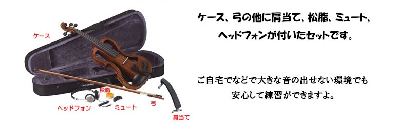 Carlo Giordano カルロジョルダーノ EV-202のケース バラ弦付