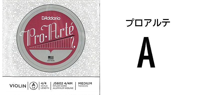 �ץ������A