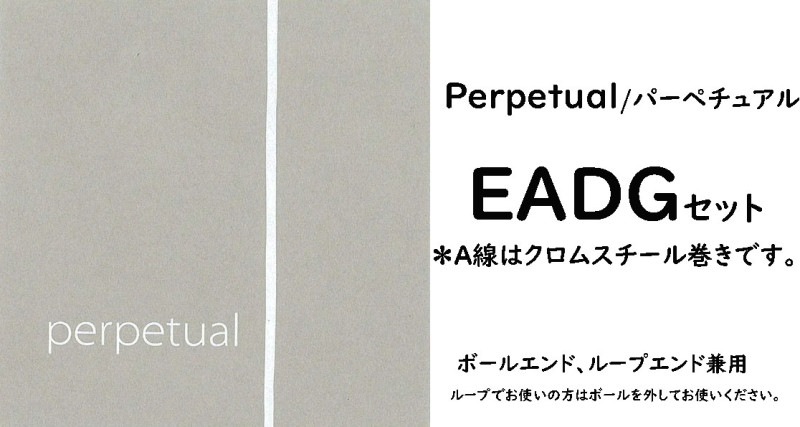 ѡڥ奢롡PerpetualEADGåȡAϥॹ봬Ǥ