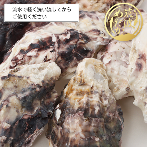 純国産天然牡蠣殻【30枚】