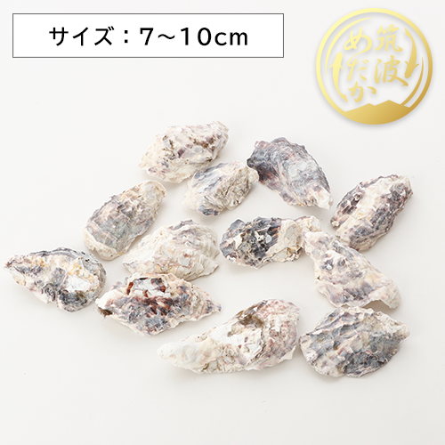 純国産天然牡蠣殻【30枚】