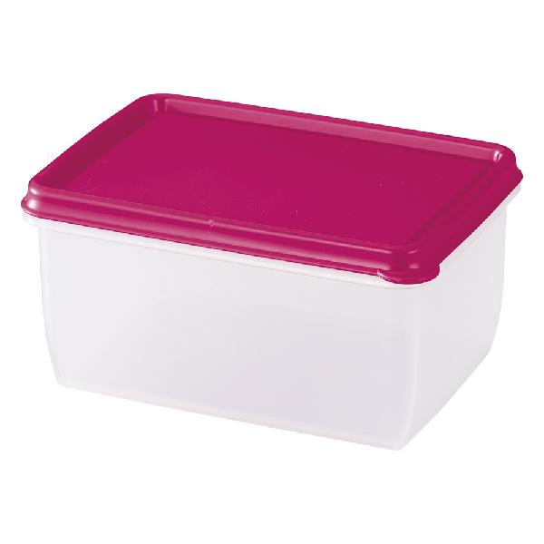 ダロプラスト Daloplast スクエアストレージコンテナ 1.0L ローズ　9236933-95