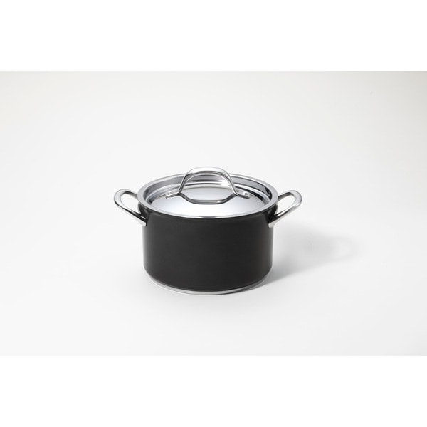 マイヤー MEYER サーキュロン エクセレンス 両手鍋 20cm CEX-W20