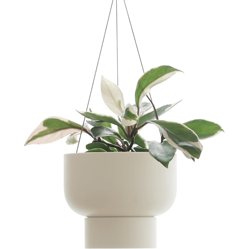 【お取り寄せ】【ロット＝6】マーナ MARNA ハンギングプラントポット サンドベージュ S508BE