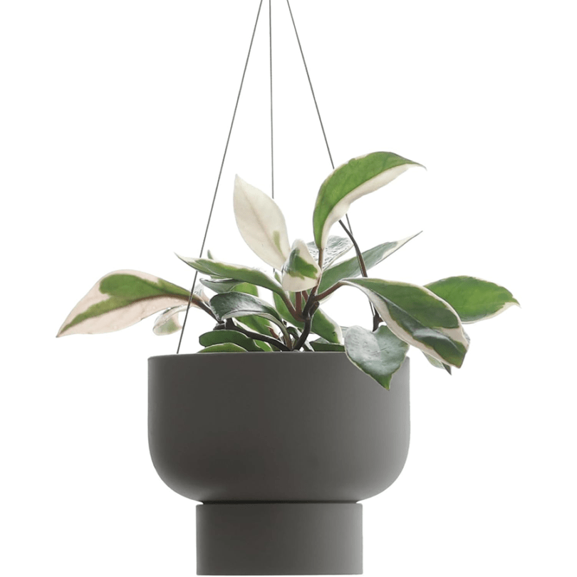 【お取り寄せ】【ロット＝6】マーナ MARNA ハンギングプラントポット ストーングレー S508GY