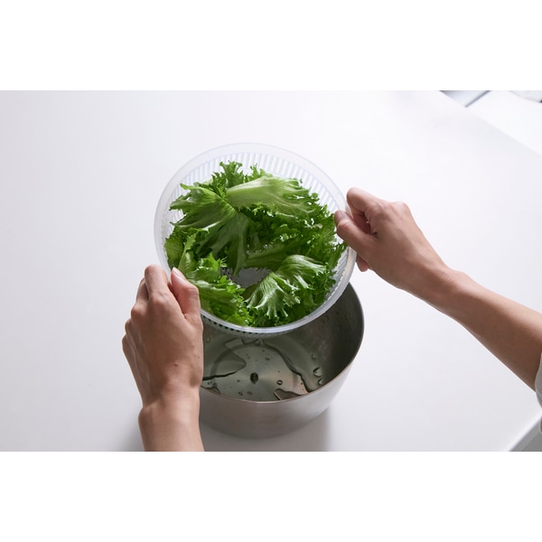 サンロクゴメソッド 365methods ステンレスサラダスピナー シルバー 4549351863545