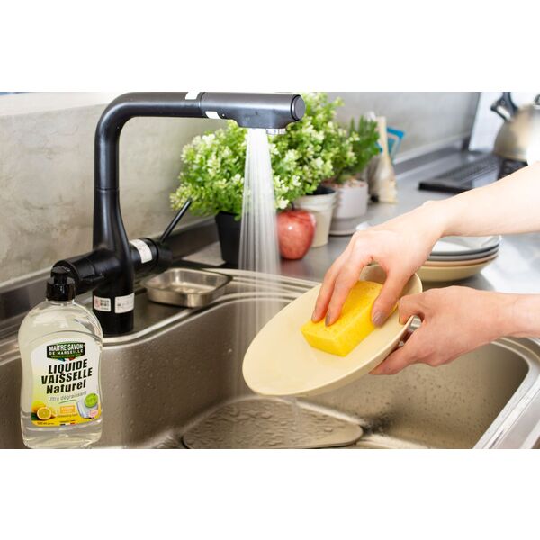 ダイショートレーディング ディッシュウォッシング・リキッド エコサート 500mL 3182611409117