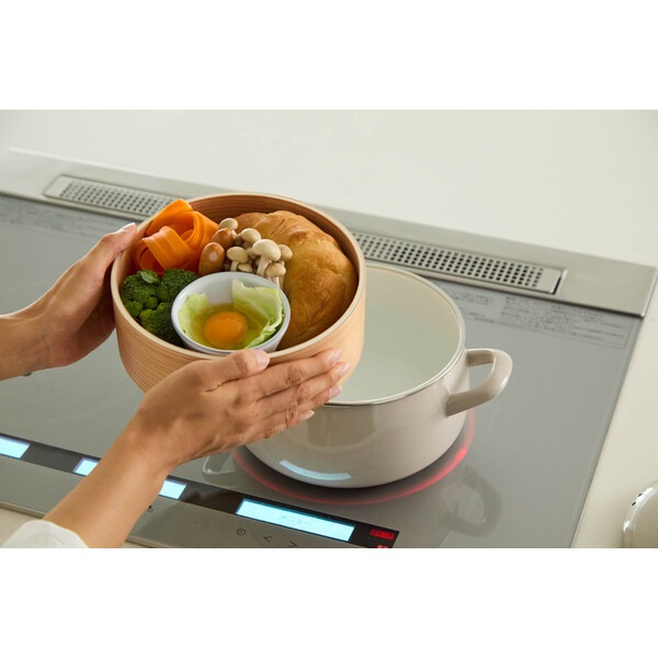 富士ホーロー せいろ付きホーロー鍋20cm グレージュ SER-20W.GG