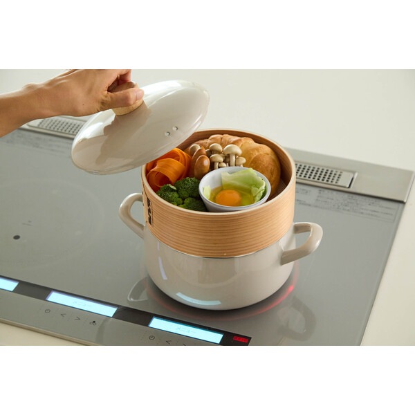 富士ホーロー せいろ付きホーロー鍋20cm グレージュ SER-20W.GG