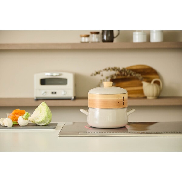 富士ホーロー せいろ付きホーロー鍋20cm グレージュ SER-20W.GG